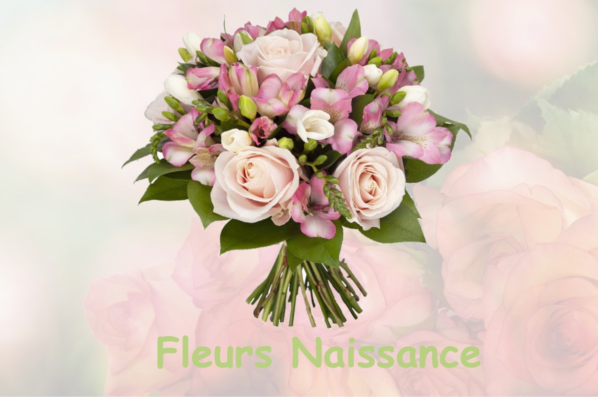 fleurs naissance BOURG-LA-REINE