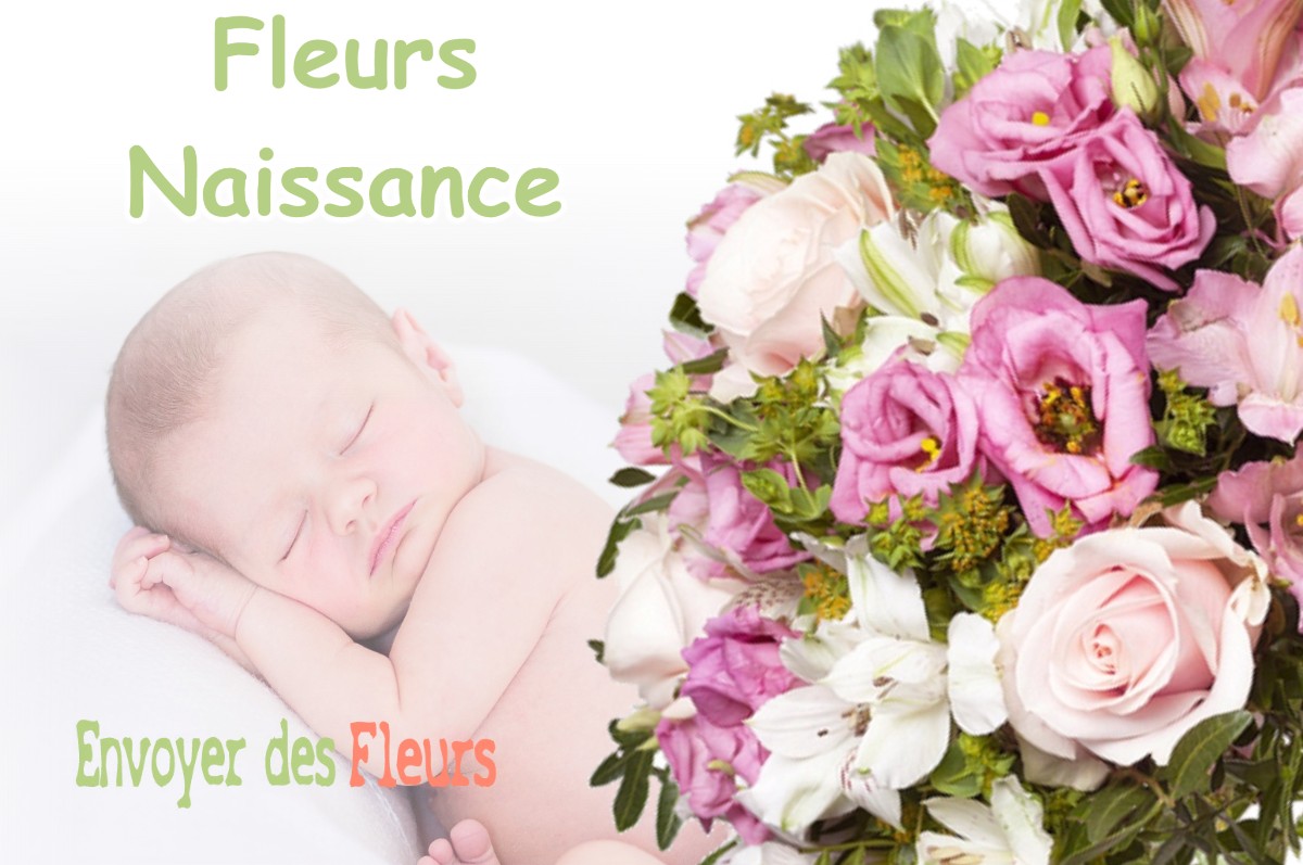 lIVRAISON FLEURS NAISSANCE à BOURG-LA-REINE